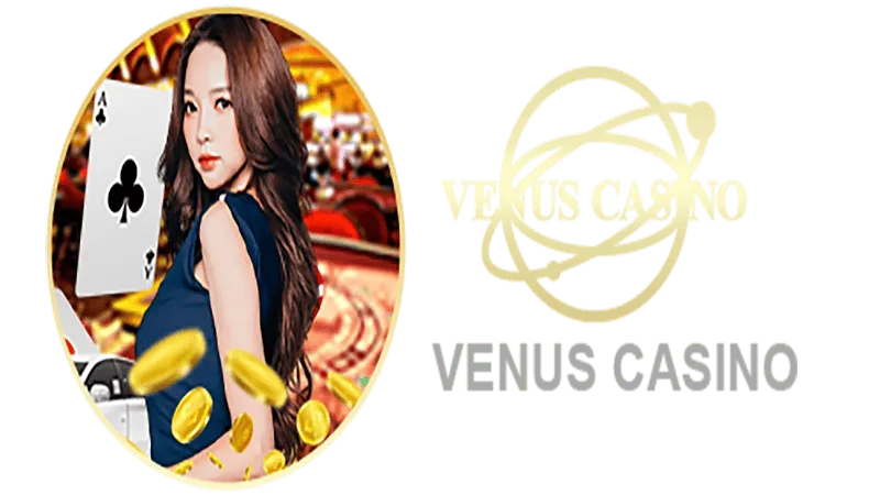 zero1 bet Informações básicas sobre o saguão do cassino Venus